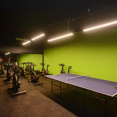 باشابارك سلتشوكلو كونيا