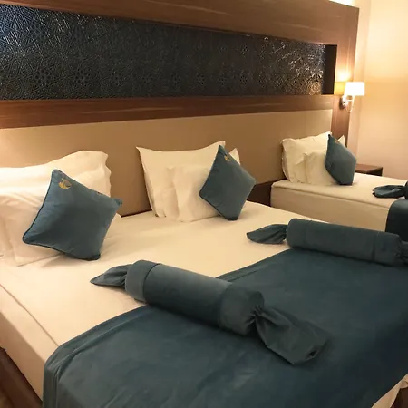 باشابارك سلتشوكلو 3*