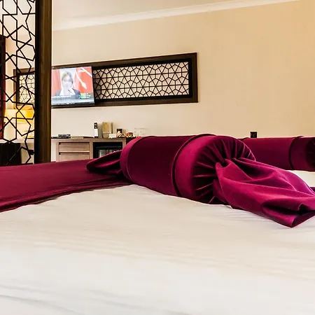 باشابارك سلتشوكلو كونيا