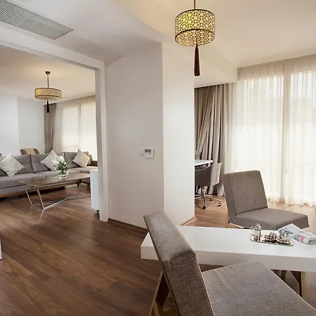 باشابارك سلتشوكلو كونيا